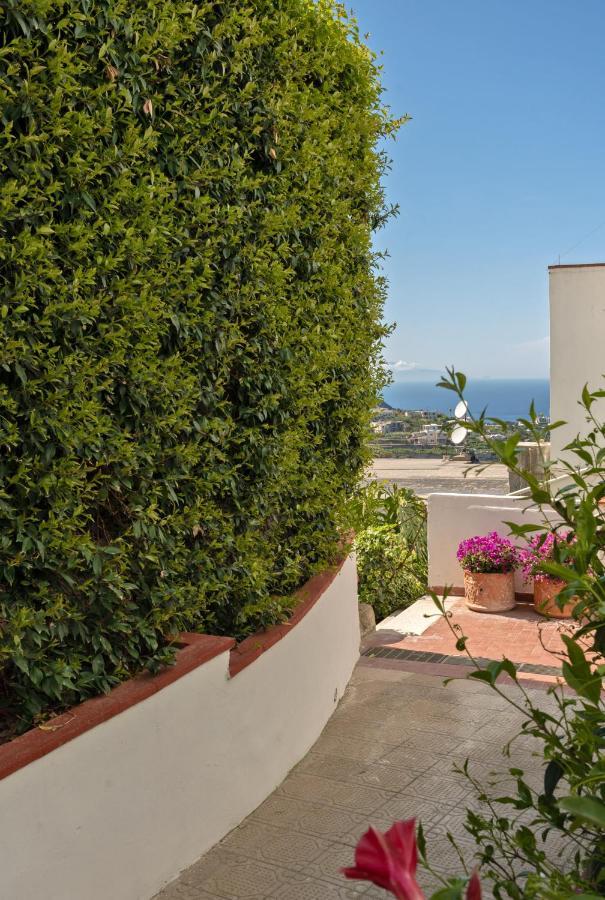 Town Apartamento Capri